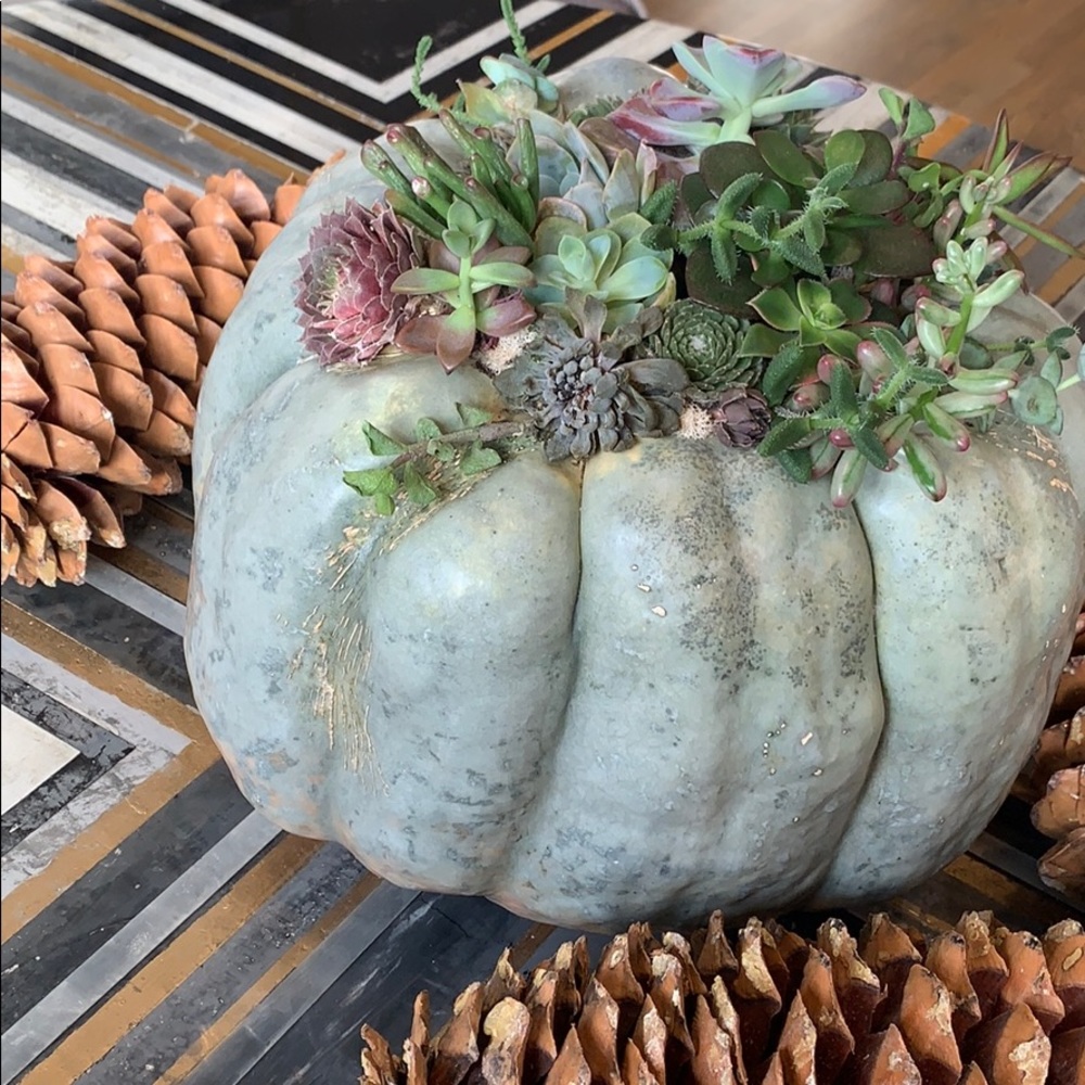 Meet your Posher, Lynanne